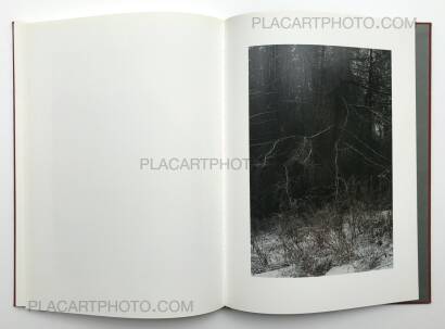 Jitka Hanzlova,Forest Jitka Hanzlova,Forest