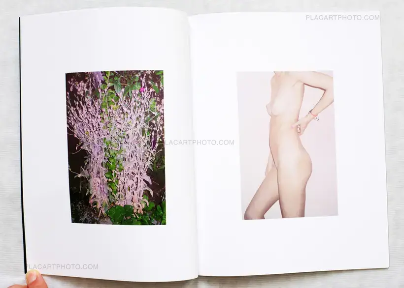 Collective – AM Projects - Nocturnes