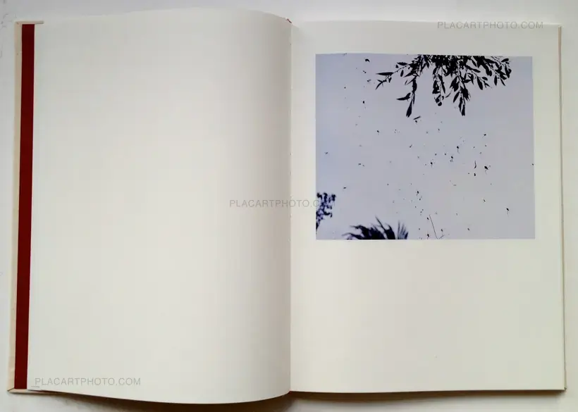 Zhe Chen – Bees (In shrink-wrapped)