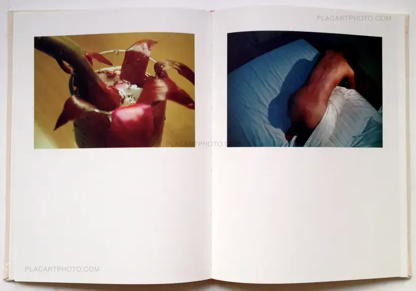 Zhe Chen – Bees (In shrink-wrapped)