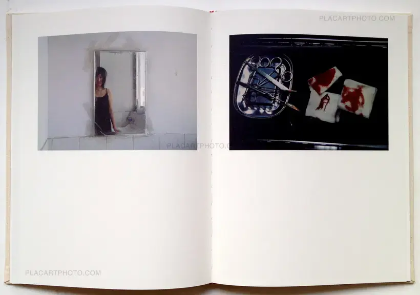 Zhe Chen – Bees (In shrink-wrapped)