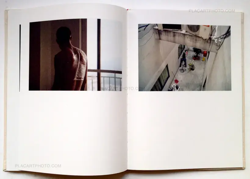 Zhe Chen – Bees (In shrink-wrapped)