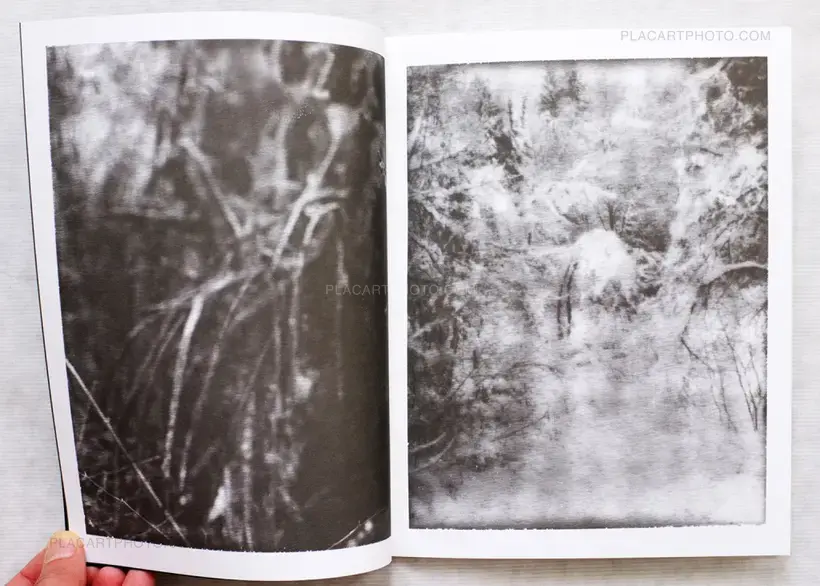 Collective – AM Projects - Nocturnes
