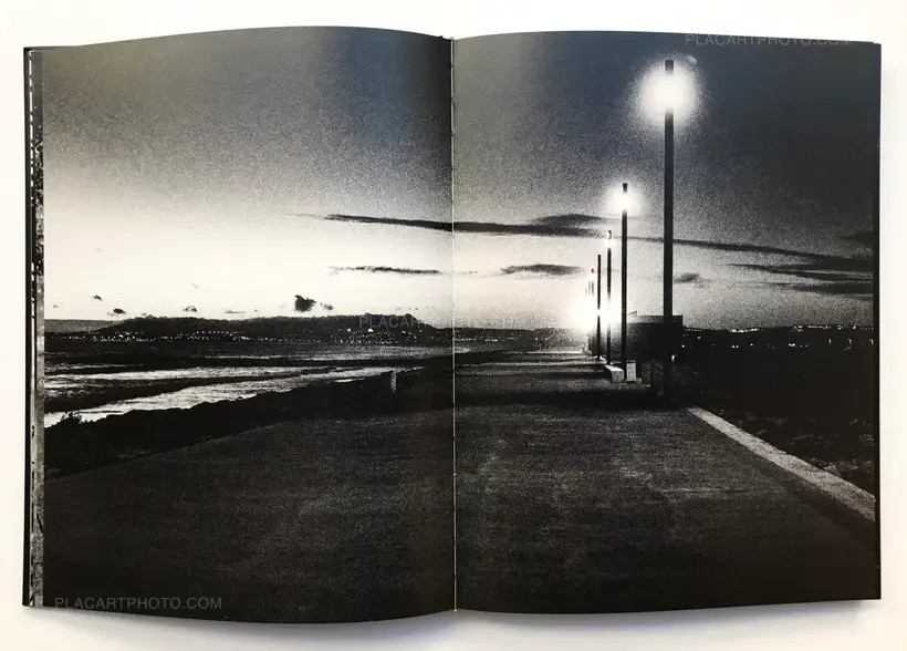 Joao Miguel Barros – Between gaze and hallucination (SIGNED)