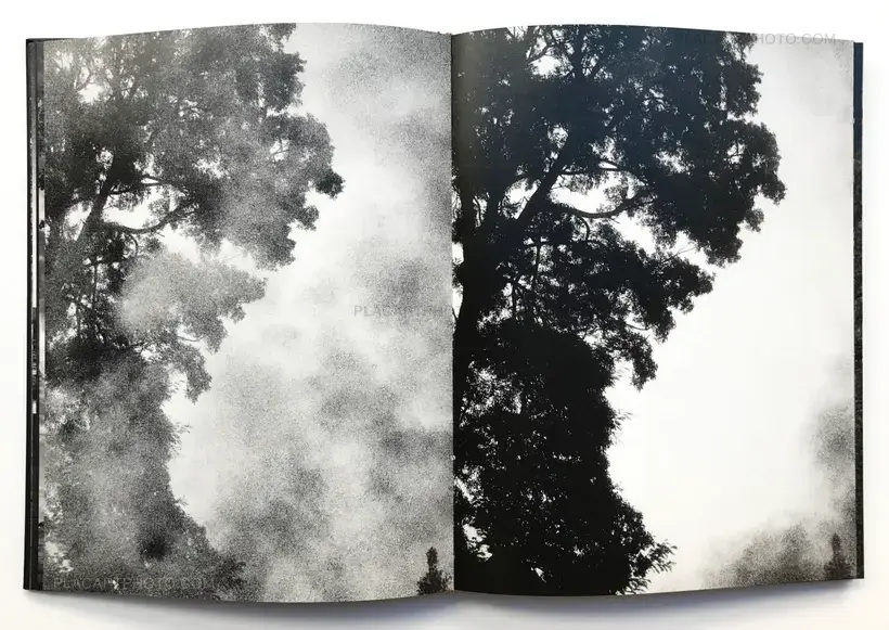 Joao Miguel Barros – Between gaze and hallucination (SIGNED)