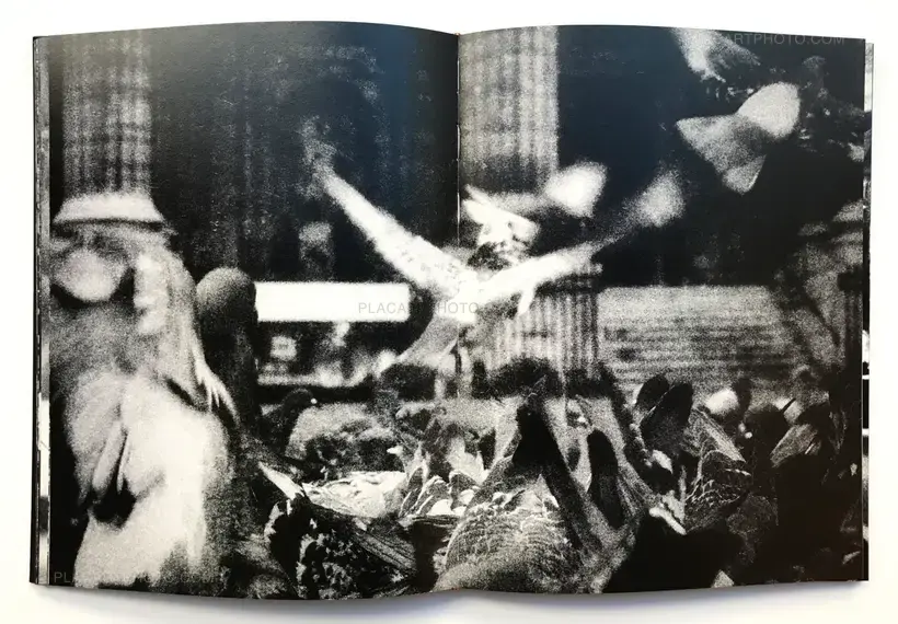 Joao Miguel Barros – Between gaze and hallucination (SIGNED)