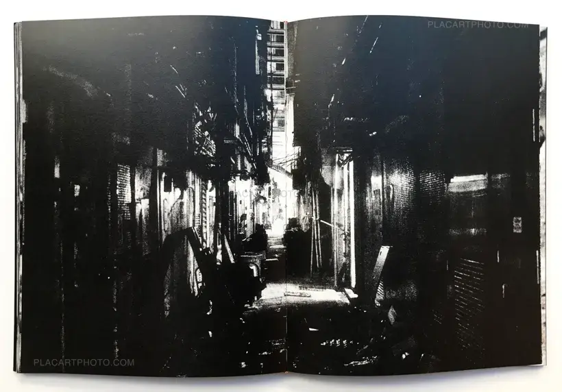 Joao Miguel Barros – Between gaze and hallucination (SIGNED)