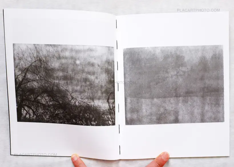 Collective – AM Projects - Nocturnes