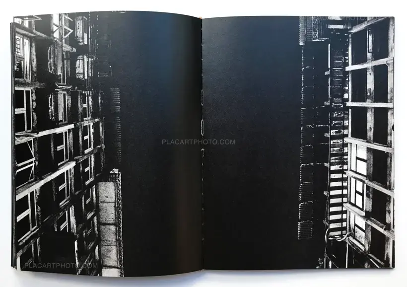 Joao Miguel Barros – Between gaze and hallucination (SIGNED)