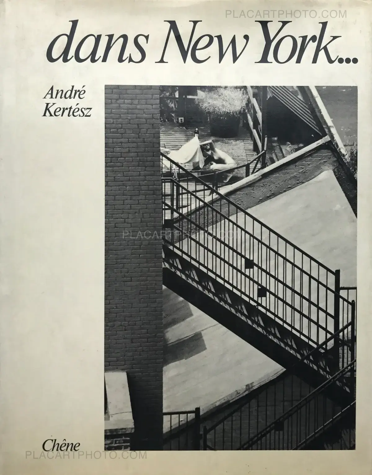 André Kertész, Dans New York, Chêne, 1976 | Le Plac'Art Photo