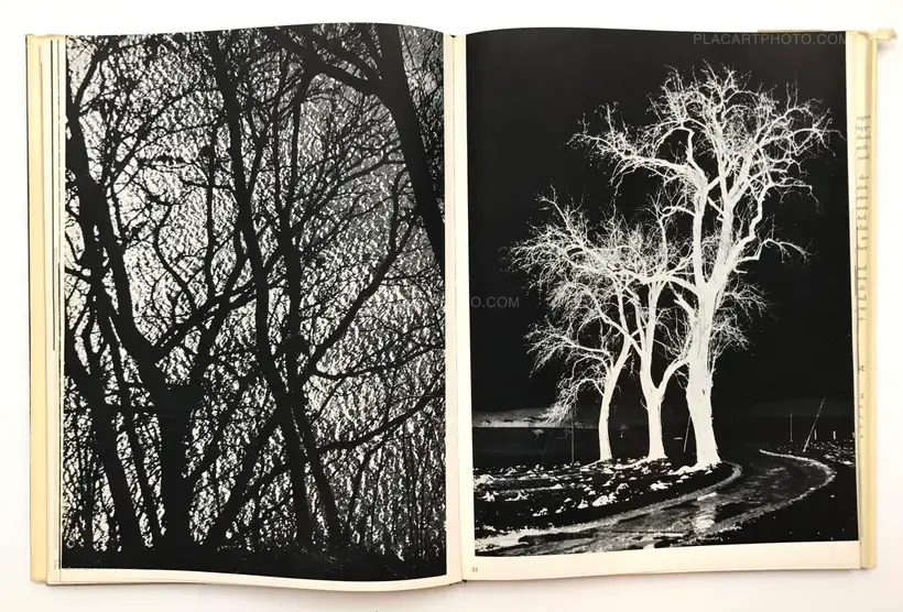 Otto Steinert – Subjektive Fotografie (vol. 1 & 2)