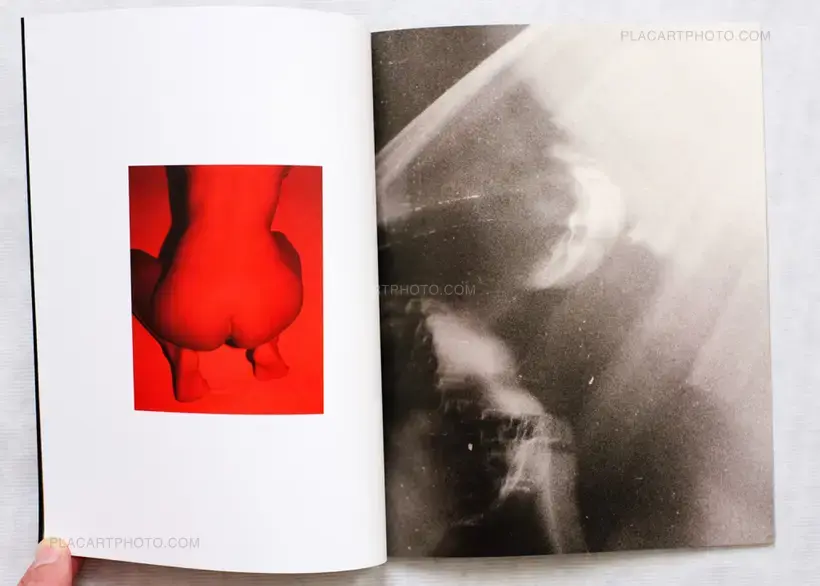 Collective – AM Projects - Nocturnes