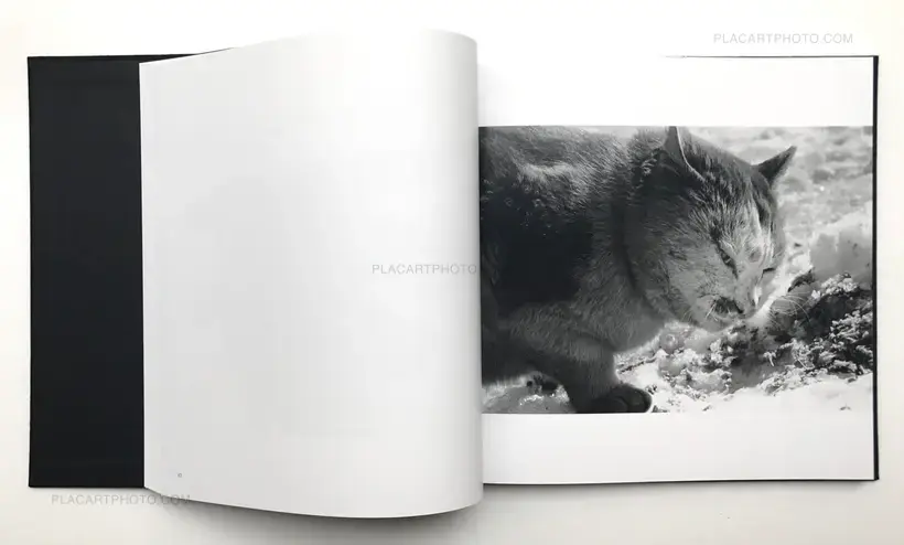 Masahisa Fukase – Ravens (Karasu)