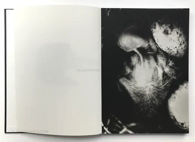 Andrej Lamut – Nokturno (LTD & SIGNED)