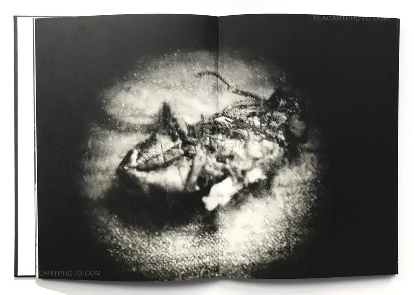 Andrej Lamut – Nokturno (LTD & SIGNED)