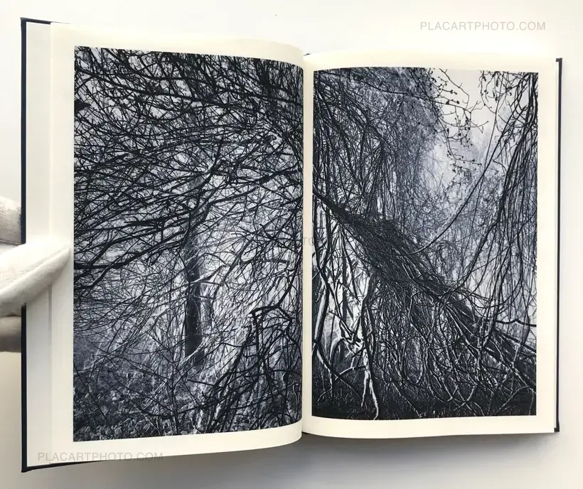 Helfried Valenta – Light shadow movement (ONLY 100 COPIES - SIGNED)
