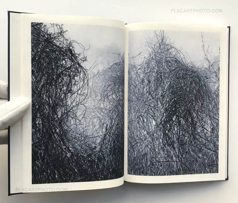 Helfried Valenta – Light shadow movement (ONLY 100 COPIES - SIGNED)