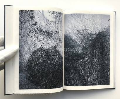 Helfried Valenta,Light shadow movement (ONLY 100 COPIES - SIGNED)