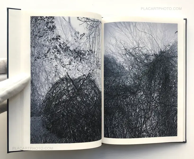 Helfried Valenta – Light shadow movement (ONLY 100 COPIES - SIGNED)