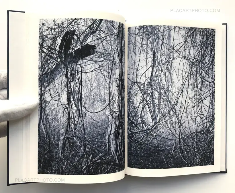 Helfried Valenta – Light shadow movement (ONLY 100 COPIES - SIGNED)
