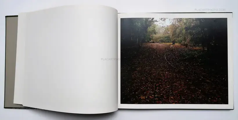 Andy Sewell – The Heath (SIGNED)