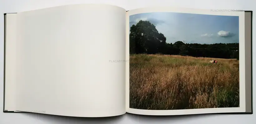 Andy Sewell – The Heath (SIGNED)