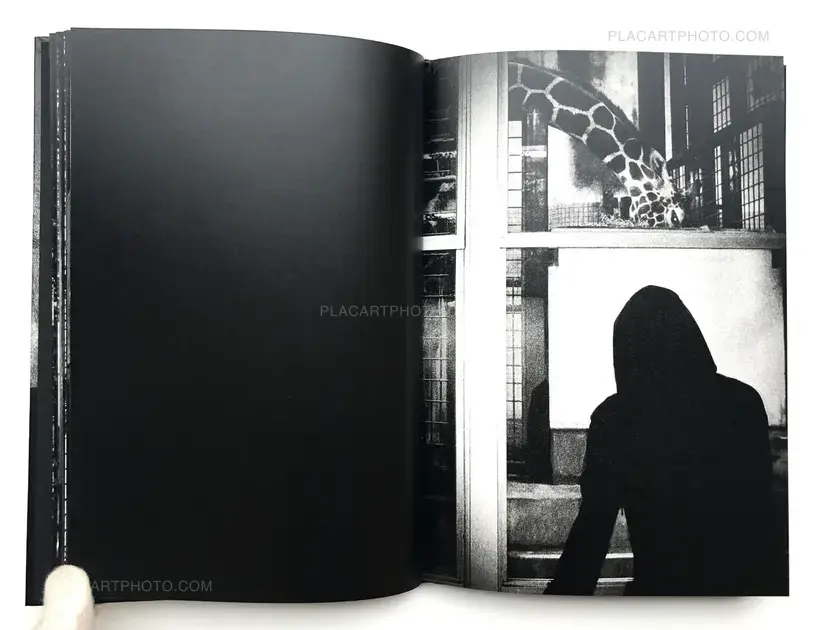 Meg Hewitt – Tokyo Is Yours (Numbered and signed)