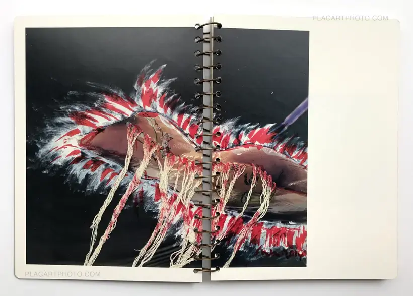 Yanchu Sun – Ficciones (Signed)