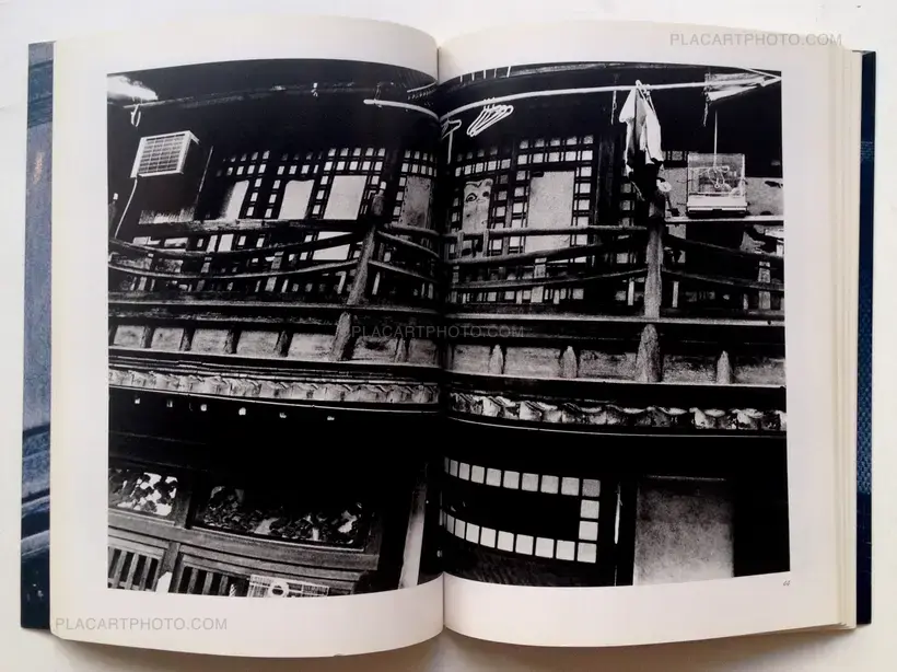 Miyako Ishiuchi – Endless night