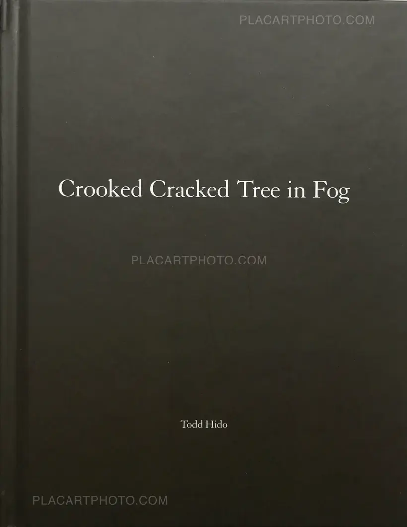 Todd Hido – One Picture Book # 60 : Crooked Cracked Tree in Fog (WITH A SIGNED PRINT)