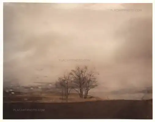 Todd Hido – Roaming : Landscape Photographs 1994-2004