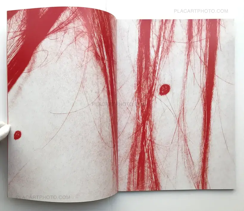 Justinas Vilutis – Pleiades (Ltd to 20 copies)