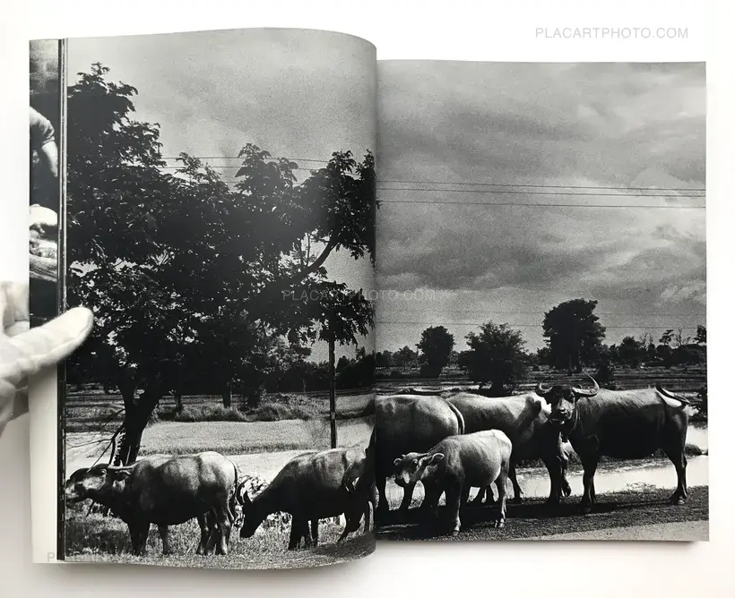 Daido Moriyama – The Tropics (SIGNED)