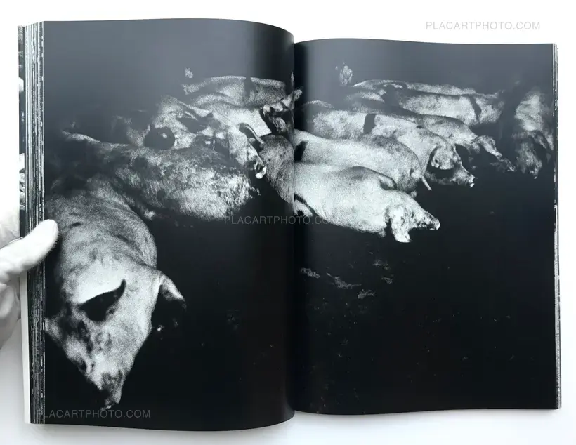 Daido Moriyama – The Tropics (SIGNED)