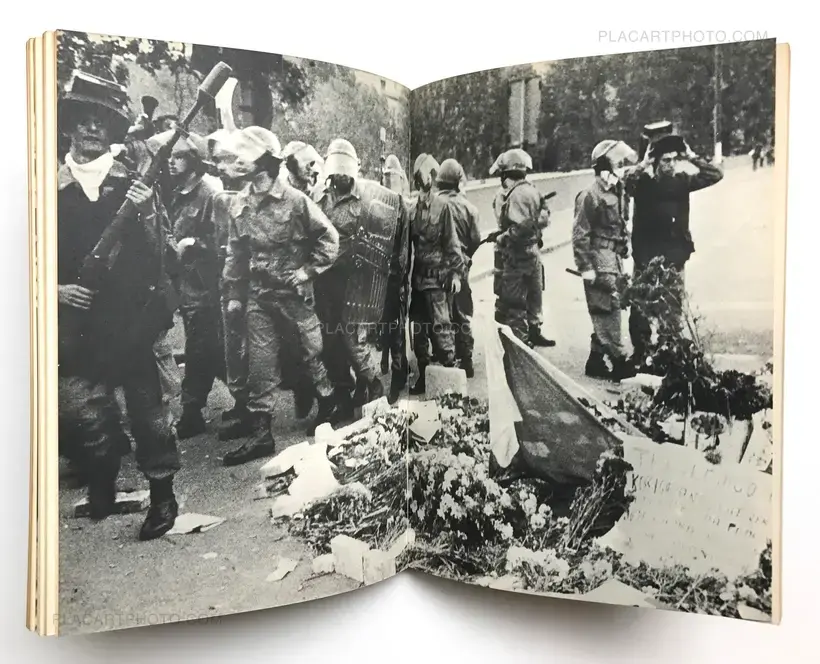Collective – Cronaca di una strage