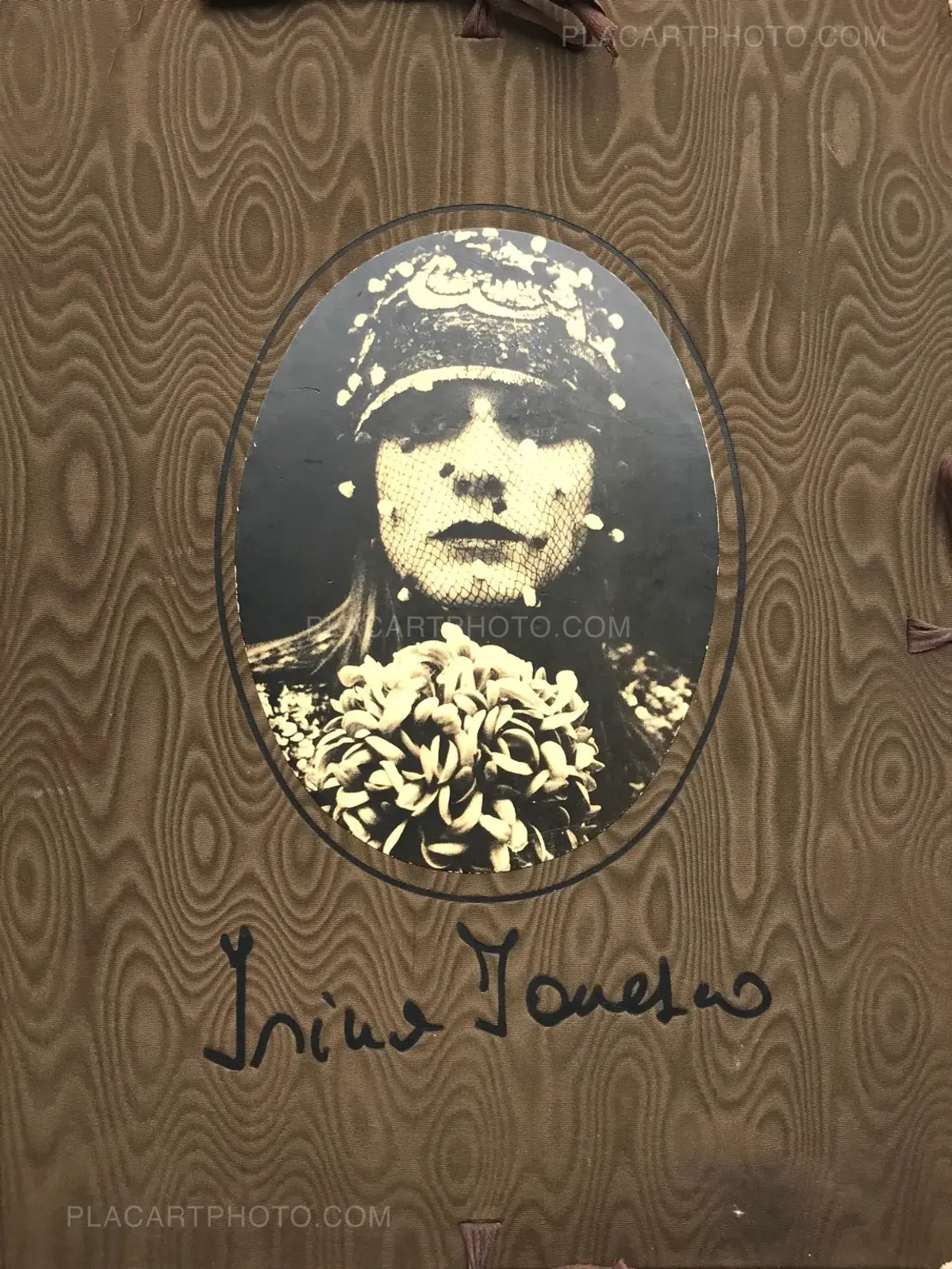 Irina Ionesco, Liliacées langoureuses aux parfums d'Arabie