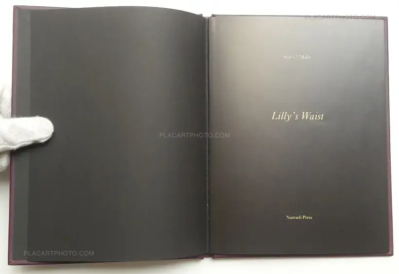 Joseph Mills – One Picture Book # 34 : Lilly's Waist