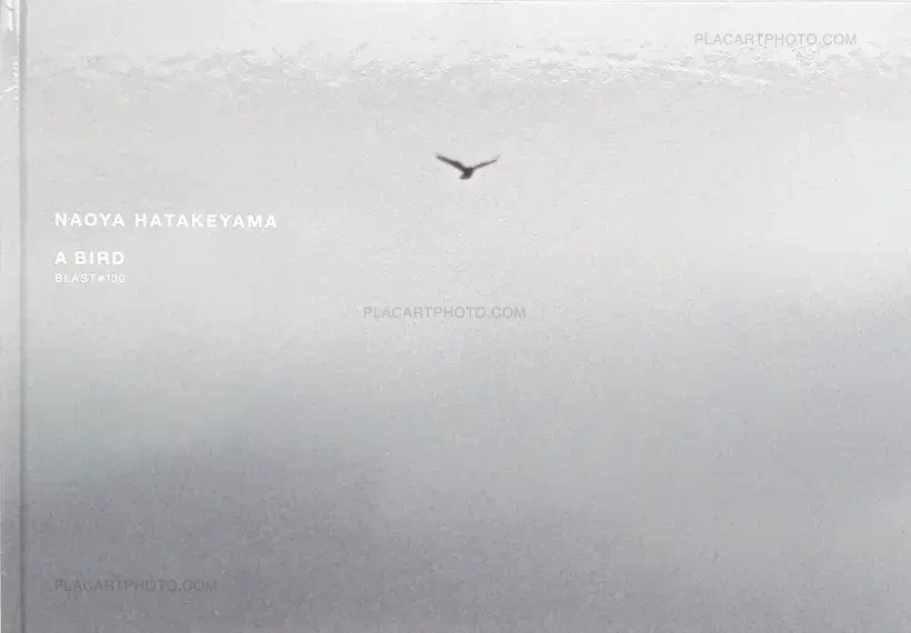 Naoya Hatakeyama – A Bird : Blast # 130