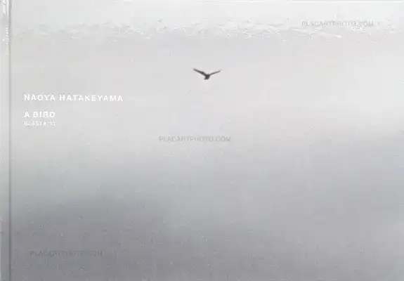 Naoya Hatakeyama – A Bird : Blast # 130