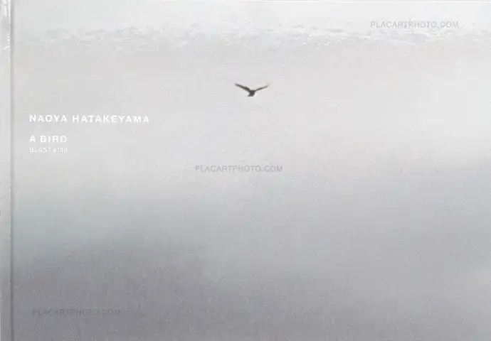 Naoya Hatakeyama – A Bird : Blast # 130