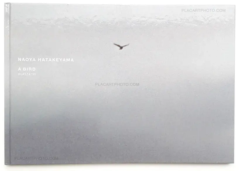 Naoya Hatakeyama – A Bird : Blast # 130