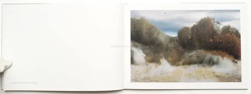 Naoya Hatakeyama – A Bird : Blast # 130
