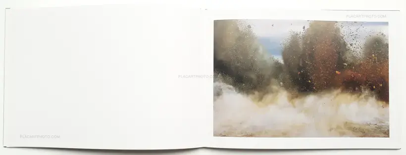 Naoya Hatakeyama – A Bird : Blast # 130