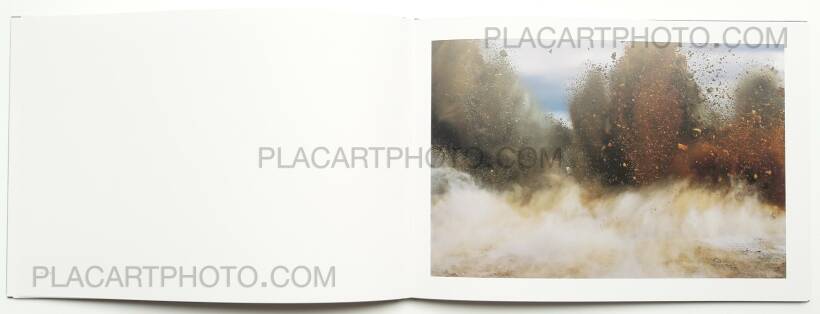 Naoya Hatakeyama: A Bird : Blast # 130, Taka Ishii, 2006 | Bookshop Le  Plac'Art Photo