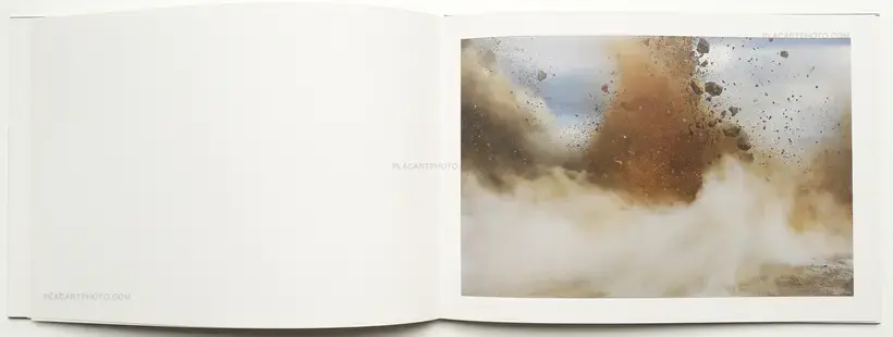 Naoya Hatakeyama – A Bird : Blast # 130