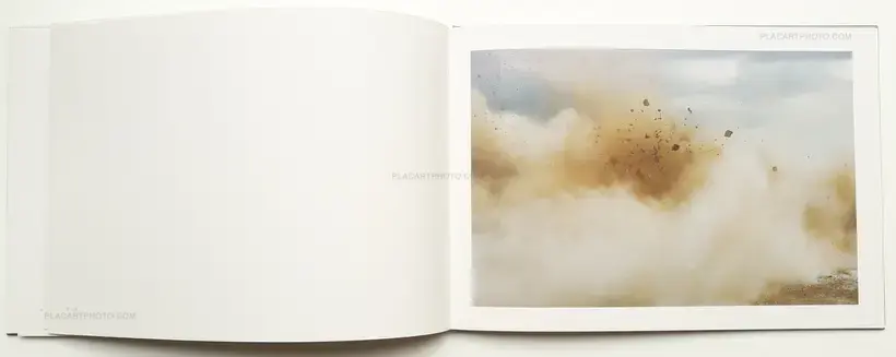 Naoya Hatakeyama – A Bird : Blast # 130