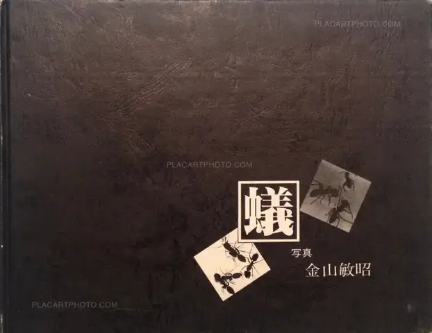Toshiaki Kanayama – Ari (Signed)