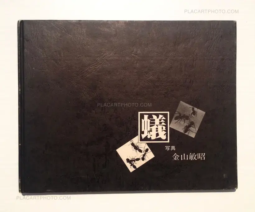 Toshiaki Kanayama – Ari (Signed)
