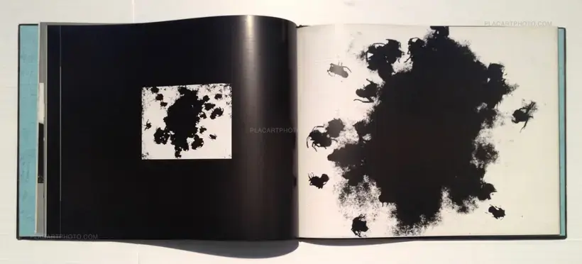Toshiaki Kanayama – Ari (Signed)