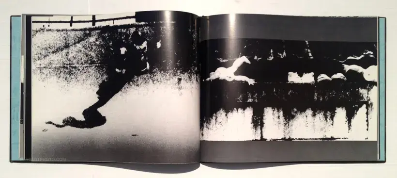 Toshiaki Kanayama – Ari (Signed)